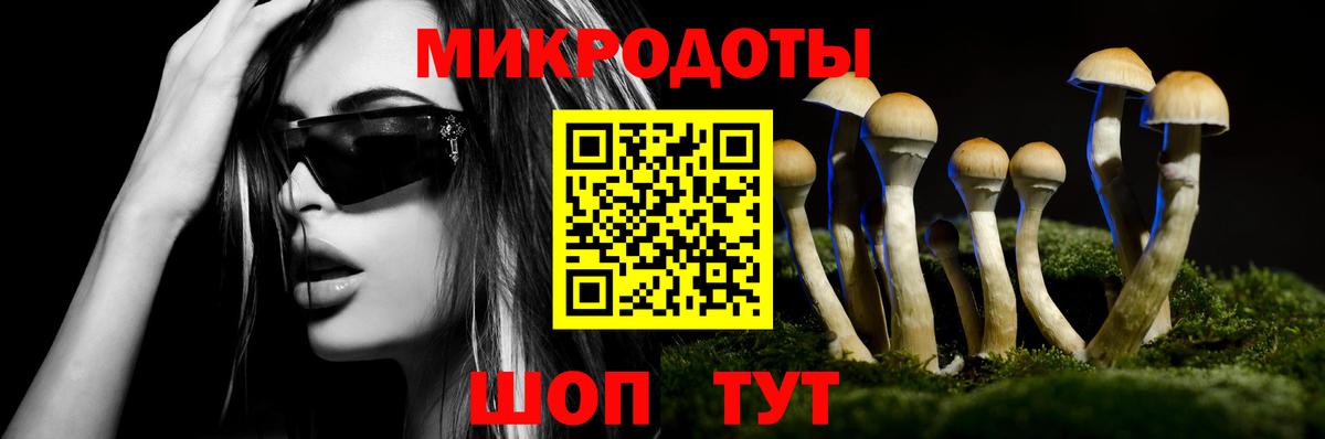 Галлюциногенные грибы Psilocybe  Вход с VPN  Галлюциногенные грибы прущие грибы  Бутурлиновка 